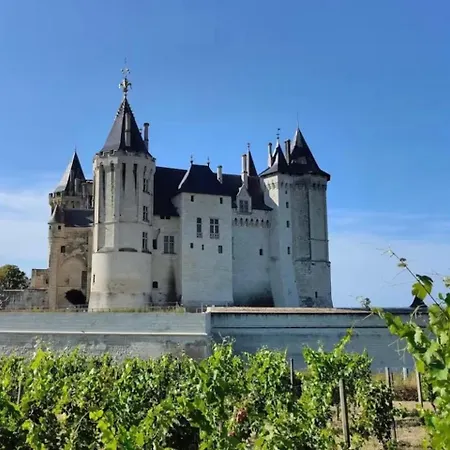La Propriete De Bacchus - L'ecrin De Loire - Design & Confort - Centre - 7 Personnes